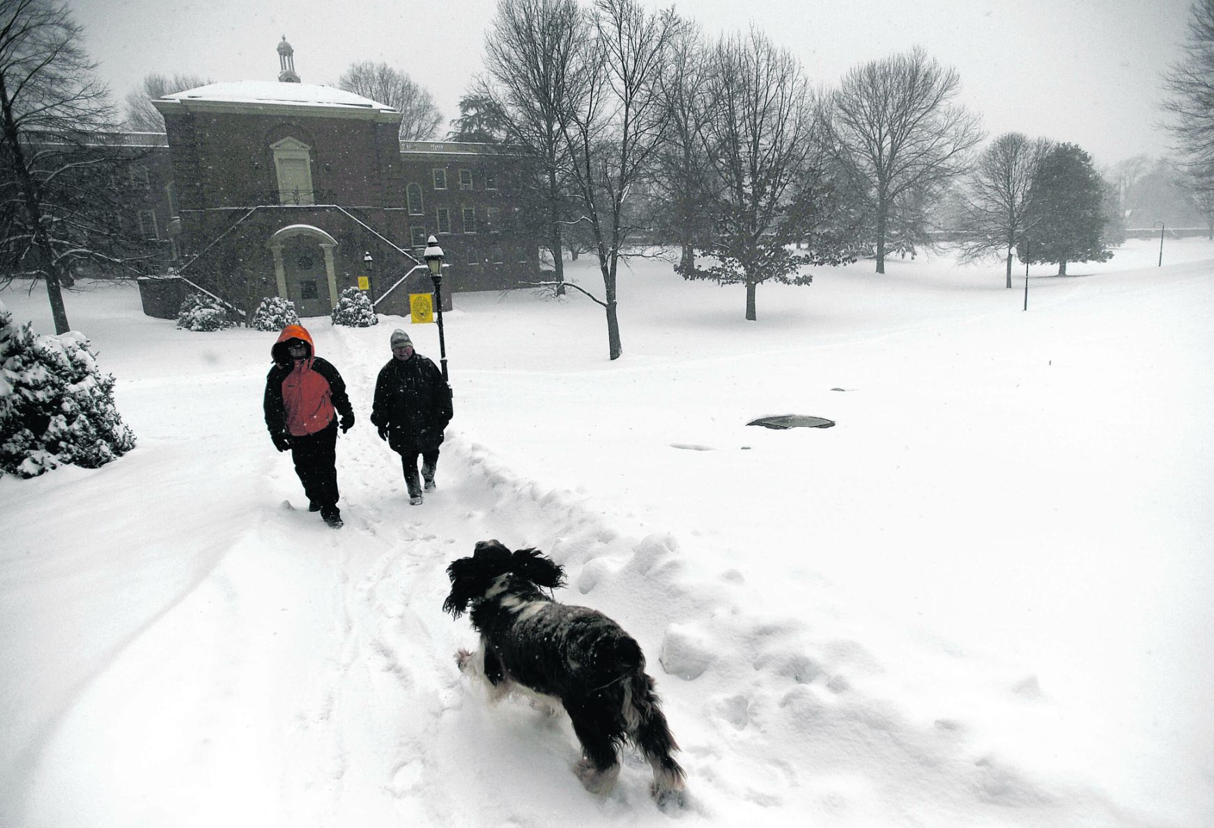 2010-01-30 1-30 snow II